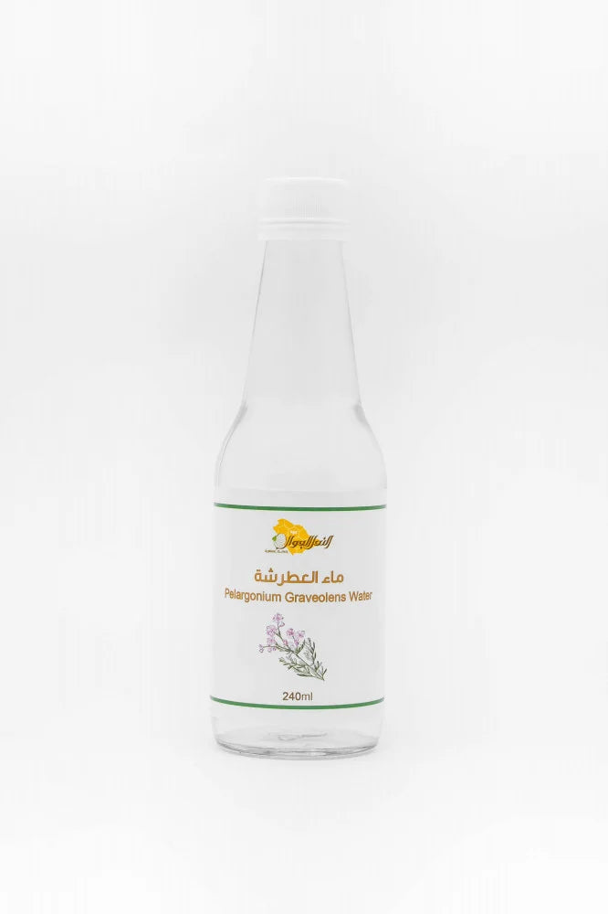 ماء العطرشة المقطرة (عضوية)